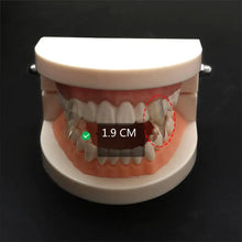 Load image into Gallery viewer, 1 Pair Vampire Teeth Fangs Dentures Props Halloween Costume Props False Teeth Solid Glue Denture Adhesive Halloween Party Decor