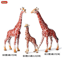 Load image into Gallery viewer, Wild Animal Model Toys Decoration Solid Tiger Lion Hippo Rhinoceros Elephant Panda Cow Set Children's Toy