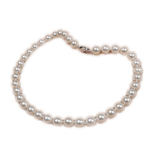 Load image into Gallery viewer, Shell Bead Necklace Perfect Circle Shell Pearls Necklace Gift