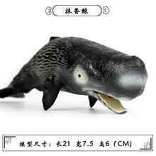 Load image into Gallery viewer, A Variety of Marine Life Models Great White Shark Megalodon Whale Shark Tiger Shark Blue Whale Children Learning Cognitive Ornaments