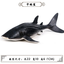 Load image into Gallery viewer, A Variety of Marine Life Models Great White Shark Megalodon Whale Shark Tiger Shark Blue Whale Children Learning Cognitive Ornaments