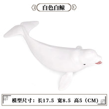 Load image into Gallery viewer, A Variety of Marine Life Models Great White Shark Megalodon Whale Shark Tiger Shark Blue Whale Children Learning Cognitive Ornaments