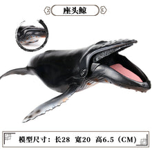 Load image into Gallery viewer, A Variety of Marine Life Models Great White Shark Megalodon Whale Shark Tiger Shark Blue Whale Children Learning Cognitive Ornaments