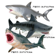 Load image into Gallery viewer, A Variety of Marine Life Models Great White Shark Megalodon Whale Shark Tiger Shark Blue Whale Children Learning Cognitive Ornaments