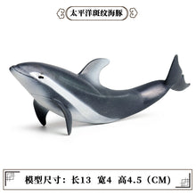 Load image into Gallery viewer, A Variety of Marine Life Models Great White Shark Megalodon Whale Shark Tiger Shark Blue Whale Children Learning Cognitive Ornaments