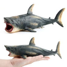 Load image into Gallery viewer, 24cm/36cm Marine Life Model Large Hollow Simulation Great White Shark Megalodon Underwater World Decoration Toys