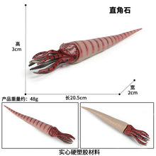 Load image into Gallery viewer, Marine Animal Model Prehistoric Trilobite Shrimp Chrysanthemum and Stone Cambrian Nautilidae Plate Foot Crab Children Teaching Toy Model