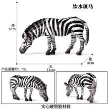 Load image into Gallery viewer, Zebra Model Simulation Wild Animal Children Decoration Toys Learning Education Model