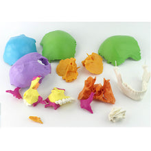 Load image into Gallery viewer, 22 Parts 1:1 Lifesize Disassembled Skull Head Anatomy Model Medical Anatomy Model
