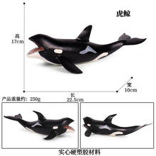 Load image into Gallery viewer, A Variety of Marine Life Models Great White Shark Megalodon Whale Shark Tiger Shark Blue Whale Children Learning Cognitive Ornaments