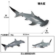 Load image into Gallery viewer, A Variety of Marine Life Models Great White Shark Megalodon Whale Shark Tiger Shark Blue Whale Children Learning Cognitive Ornaments