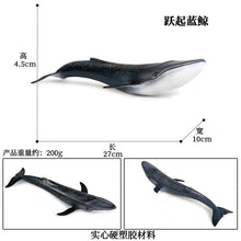 Load image into Gallery viewer, A Variety of Marine Life Models Great White Shark Megalodon Whale Shark Tiger Shark Blue Whale Children Learning Cognitive Ornaments