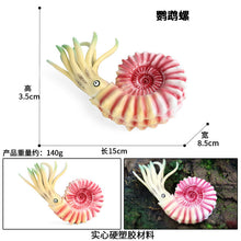 Load image into Gallery viewer, Marine Animal Model Prehistoric Trilobite Shrimp Chrysanthemum and Stone Cambrian Nautilidae Plate Foot Crab Children Teaching Toy Model