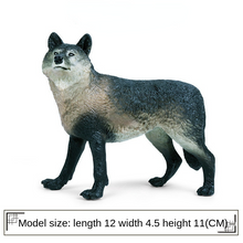 Load image into Gallery viewer, Simulation of wild animals grey wolf series PVC model toys