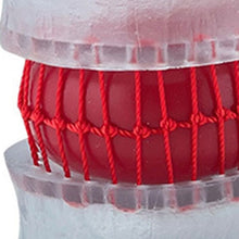 Load image into Gallery viewer, Anatomy Lumbar Spine Model with Movable Lumbar Disc for Demonstrating Pathological Lumbar Disc Lumbar Vertebra Y3NC