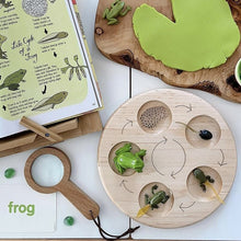 Load image into Gallery viewer, Animal Life Cycle Board Children Toy Teaching Aids Plant Animal Growth Cycle Model Set preschool cognitive Toys
