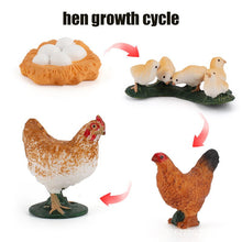 Load image into Gallery viewer, Animal Life Cycle Board Children Toy Teaching Aids Plant Animal Growth Cycle Model Set preschool cognitive Toys