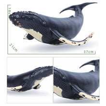Load image into Gallery viewer, Big Size Soft Rubber Sea Life Simulation Action Figure Animal Model Toys for Children Kids Whale Figures Collection Educational