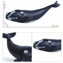 Load image into Gallery viewer, Big Size Soft Rubber Sea Life Simulation Action Figure Animal Model Toys for Children Kids Whale Figures Collection Educational