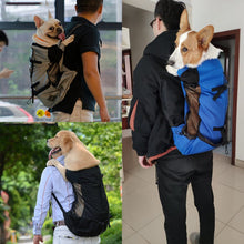 Load image into Gallery viewer, Breathable Dog Carrier Bag Portable Pet Outdoor Travel Backpack Big Dog Cat Carrier Bags For Dogs French Bulldog Dog Accessories