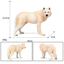 Load image into Gallery viewer, Simulation of wild animals big wild wolf model PVC action figure educational collection of toys for children gifts