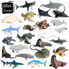 Load image into Gallery viewer, Mini Sea Life Animals Dolphin Rays Shark Turtle Model Action Figures Ocean Marine Aquarium Figurines Education Kids Toys Gifts 24pcs/set