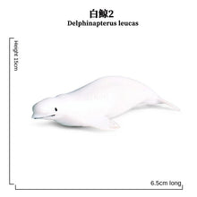 Load image into Gallery viewer, Mini Sea Life Animals Dolphin Rays Shark Turtle Model Action Figures Ocean Marine Aquarium Figurines Education Kids Toys Gifts 24pcs/set