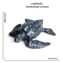 Load image into Gallery viewer, Mini Sea Life Animals Dolphin Rays Shark Turtle Model Action Figures Ocean Marine Aquarium Figurines Education Kids Toys Gifts