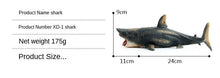Load image into Gallery viewer, Marine Life Model Large Hollow Simulation Great White Shark Megalodon Underwater World Decoration Toys