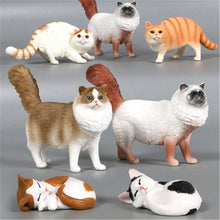 Load image into Gallery viewer, New Simulation Wild Animal Model Toys Set White Pet Cat Poultry Orange Cat Action Figure Cognition Educational Toy for Childrens