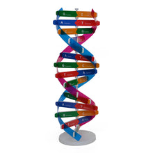 Load image into Gallery viewer, Human Genetic Model DNA Double Helix Diy Biological Science Experiment Equipment Medical Popular Science Teaching AIDS