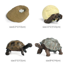 Load image into Gallery viewer, Kids Cognitive Educational Toys Simulation Animal Insect Model Mini Animal Butterfly Growth Cycle Ornaments