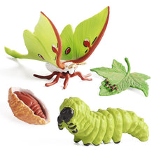 Load image into Gallery viewer, Kids Cognitive Educational Toys Simulation Animal Insect Model Mini Animal Butterfly Growth Cycle Ornaments