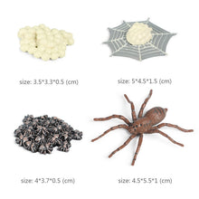 Load image into Gallery viewer, Kids Cognitive Educational Toys Simulation Animal Insect Model Mini Animal Butterfly Growth Cycle Ornaments