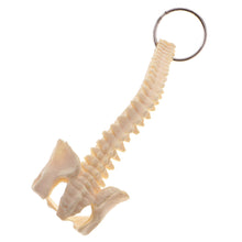 Load image into Gallery viewer, Mini PVC Material Handcrafted Human Spine Skeleton Model Keychain for School Teaching Aid Ornament Novelty Present