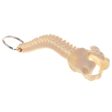 Load image into Gallery viewer, Mini PVC Material Handcrafted Human Spine Skeleton Model Keychain for School Teaching Aid Ornament Novelty Present