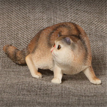 Load image into Gallery viewer, New Simulation Wild Animal Model Toys Set White Pet Cat Poultry Orange Cat Action Figure Cognition Educational Toy for Childrens