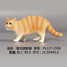 Load image into Gallery viewer, New Simulation Wild Animal Model Toys Set White Pet Cat Poultry Orange Cat Action Figure Cognition Educational Toy for Childrens