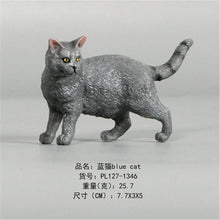Load image into Gallery viewer, New Simulation Wild Animal Model Toys Set White Pet Cat Poultry Orange Cat Action Figure Cognition Educational Toy for Childrens