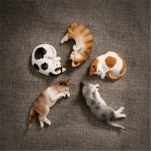 Load image into Gallery viewer, New Simulation Wild Animal Model Toys Set White Pet Cat Poultry Orange Cat Action Figure Cognition Educational Toy for Childrens