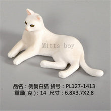 Load image into Gallery viewer, New Simulation Wild Animal Model Toys Set White Pet Cat Poultry Orange Cat Action Figure Cognition Educational Toy for Childrens