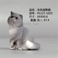 Load image into Gallery viewer, New Simulation Wild Animal Model Toys Set White Pet Cat Poultry Orange Cat Action Figure Cognition Educational Toy for Childrens
