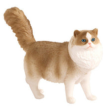 Load image into Gallery viewer, New Simulation Wild Animal Model Toys Set White Pet Cat Poultry Orange Cat Action Figure Cognition Educational Toy for Childrens