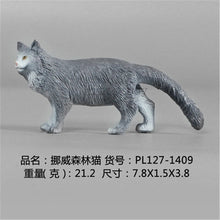 Load image into Gallery viewer, New Simulation Wild Animal Model Toys Set White Pet Cat Poultry Orange Cat Action Figure Cognition Educational Toy for Childrens