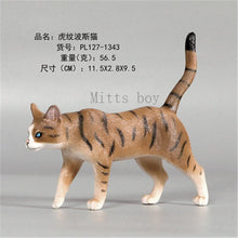 Load image into Gallery viewer, New Simulation Wild Animal Model Toys Set White Pet Cat Poultry Orange Cat Action Figure Cognition Educational Toy for Childrens
