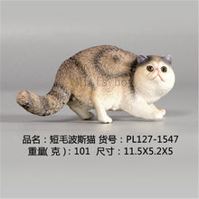 Load image into Gallery viewer, New Simulation Wild Animal Model Toys Set White Pet Cat Poultry Orange Cat Action Figure Cognition Educational Toy for Childrens