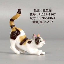 Load image into Gallery viewer, New Simulation Wild Animal Model Toys Set White Pet Cat Poultry Orange Cat Action Figure Cognition Educational Toy for Childrens