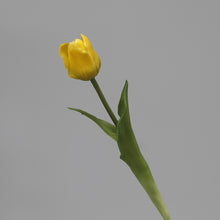 Load image into Gallery viewer, 5PCs PE Feel Tulip Artificial Flowers Desktop Simulation Flower