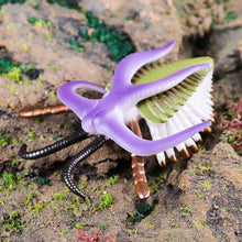 Load image into Gallery viewer, Marine Animal Model Prehistoric Trilobite Shrimp Chrysanthemum and Stone Cambrian Nautilidae Plate Foot Crab Children Teaching Toy Model