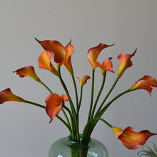 Load image into Gallery viewer, 5pcs Artificial Flower Common Calla Feels Really Artificial Flowers for Living Room Dining Table